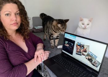 When Breeding Becomes Cruel: The Problem with Designer Cats