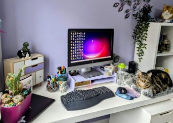 The Joys of Sharing My Office With Cats: Litter in the Keyboard & More