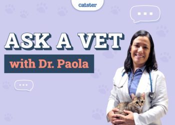 Ask Dr. Paola – Monday December 16, 2024