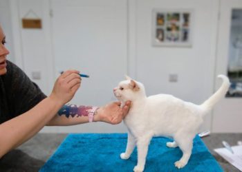 How to Do A Health Check At Home: Dr. Karyn’s Detailed Guide