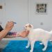 How to Do A Health Check At Home: Dr. Karyn’s Detailed Guide