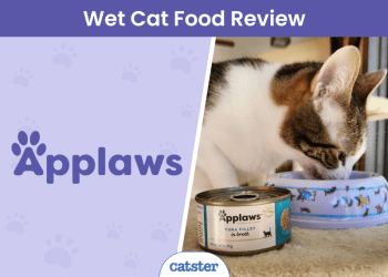Applaws Limited Ingredient Wet Cat Food Review 2025: How I Supplemented My Cats Diet