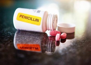 Penicillin for Dogs: Uses, Dosage, & Side Effects